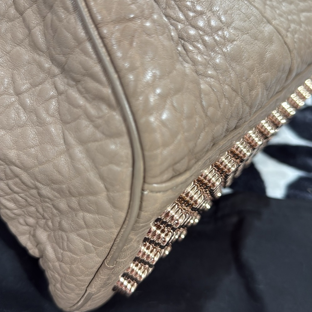 🚫 SOLD 🚫 Alexander Wang Rocco Handbag in Latte with Rose Gold Hardware - Picture 9 of 16